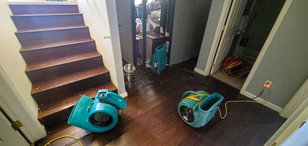 Best Water damage restoration near me  in Denver City, TX