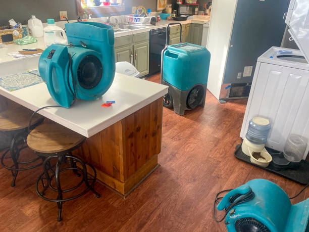Best Carpet water damage restoration  in Denver City, TX