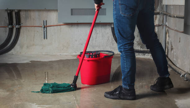 Best 24-hour water damage restoration  in Denver City, TX