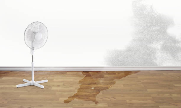 Best Flood damage cleanup  in Denver City, TX