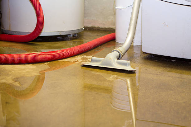 Best Mold removal after water damage  in Denver City, TX