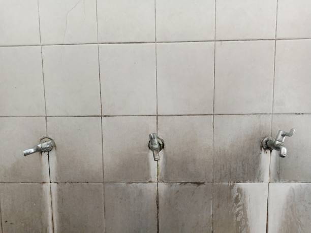 Best Flood restoration services  in Denver City, TX