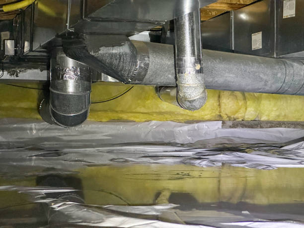 Best Water damage restoration process  in Denver City, TX